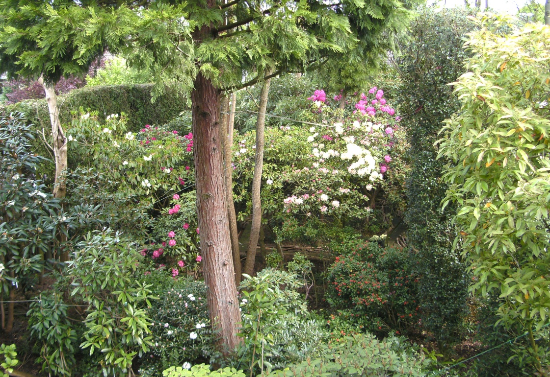 Aktueller<br>Bestand<br>Reflexionen